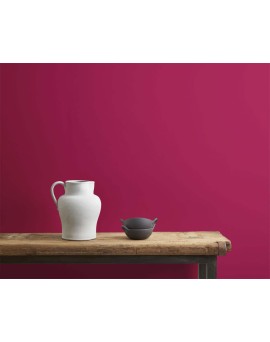 Wall Paint Capri Pink 2,5L