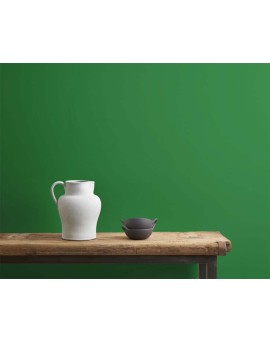 Wall Paint Schinkel Green 2,5L