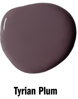 Wall Paint Tyrian Plum 2,5L