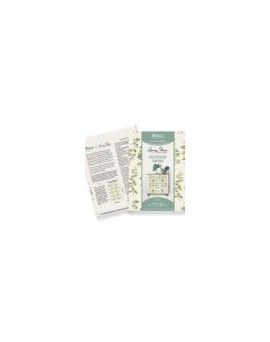 Decoupage Papers Mint