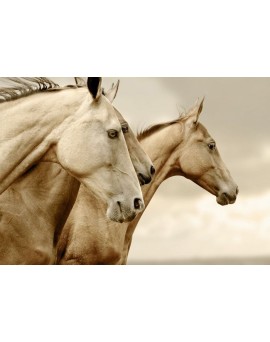 Sepia Horses - Mint by...